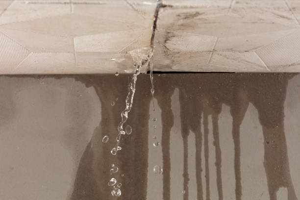 Professional Burst Pipe Cleanup technician working in Perryville, AR